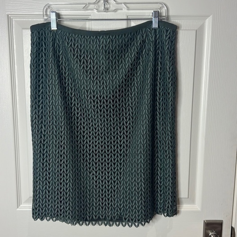 Lafayette 148 olive green lace skirt. So classy.